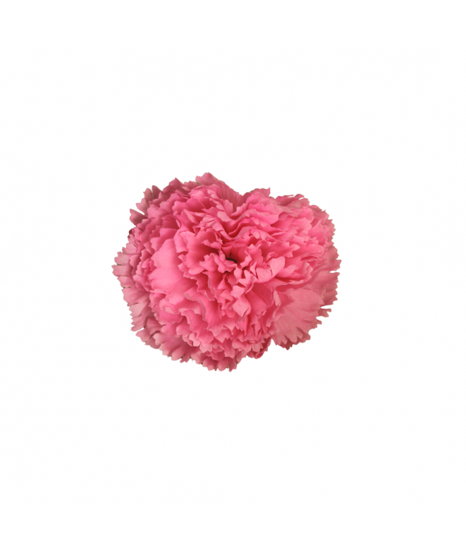 Clavel Rosa Individual | Flores de flamenca |Tienda de bisutería on...